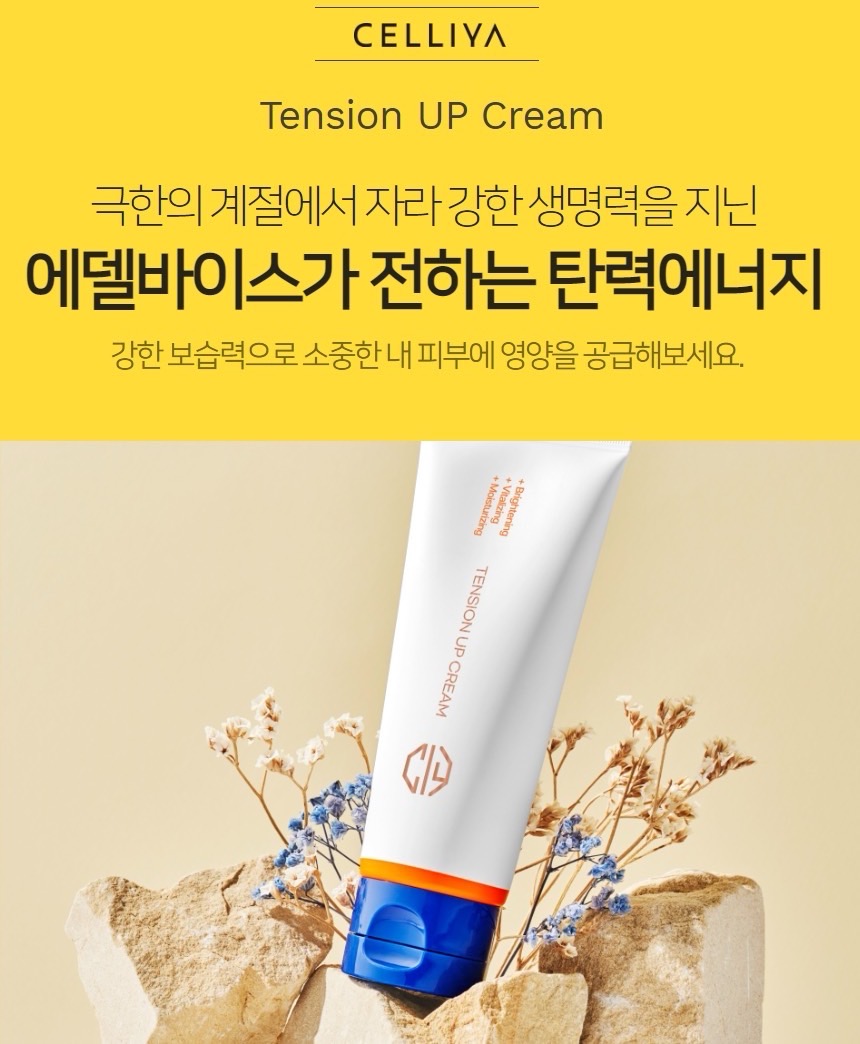 셀이야 텐션업 고영양 탄력 크림 100g : 리즈업마켓 X 셀스테틱