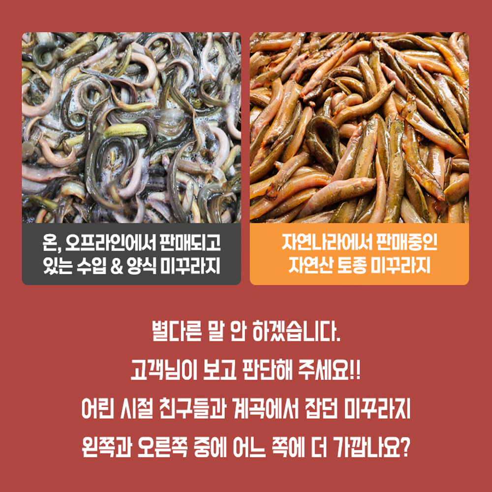 진짜 자연산 토종 미꾸라지 500g , 100%국내산 민물고기 추어탕 어죽 민물매운탕 : 자연나라다슬기