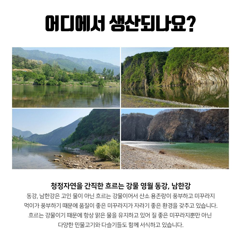 진짜 자연산 토종 미꾸라지 500g , 100%국내산 민물고기 추어탕 어죽 민물매운탕 : 자연나라다슬기