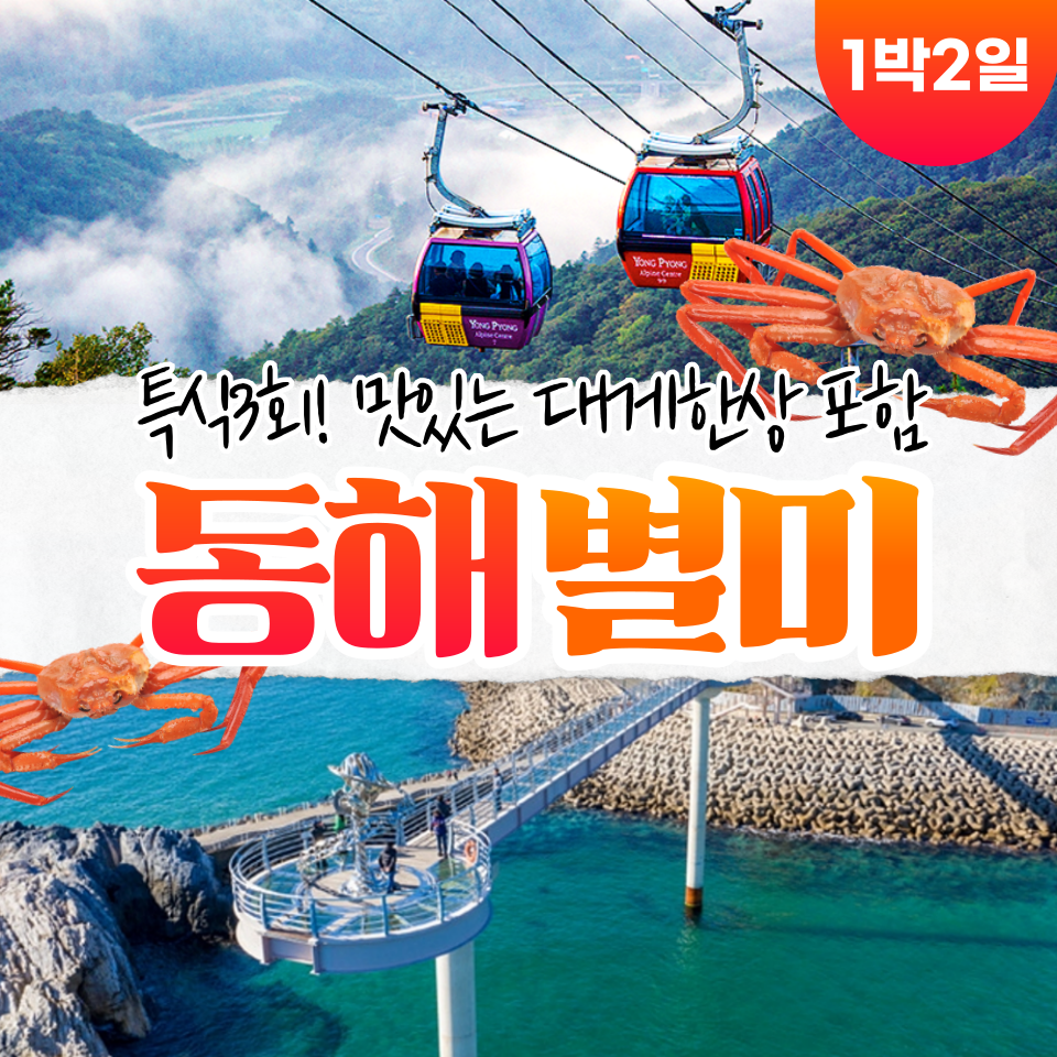 부산출발 강원 동해별미 미식여행 1박2일 버스투어여행 : 서니여행사