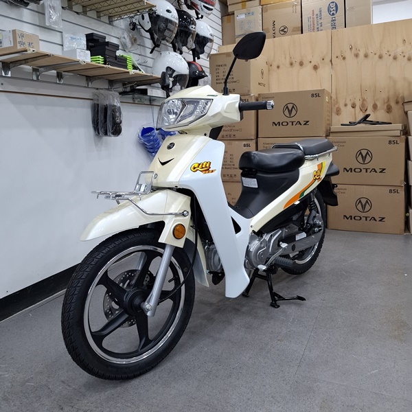 디앤에이모터스 CB115 시티베스트115 유로5플러스 : 삼성오토바이총판