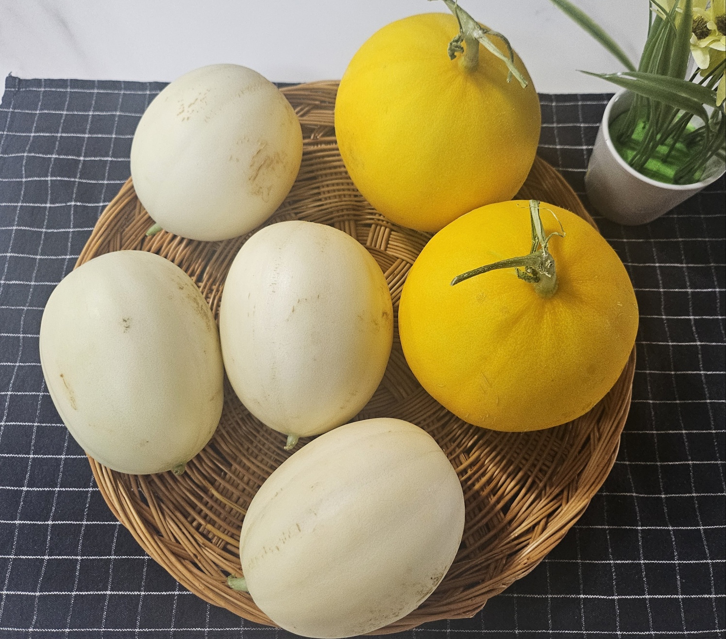 설향메론 양구메론 수신 백자메론 세지 허니듀 노을 고령 성산 5kg : 오남매농장마켓