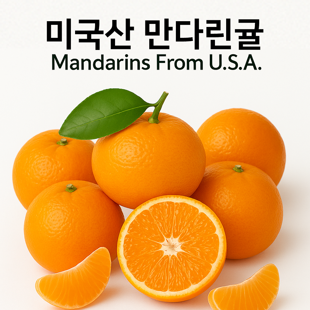 [항공직송] 큐티스 초고당도 만다린 귤 프리미엄  9kg 1박스 : 먹자 마켓