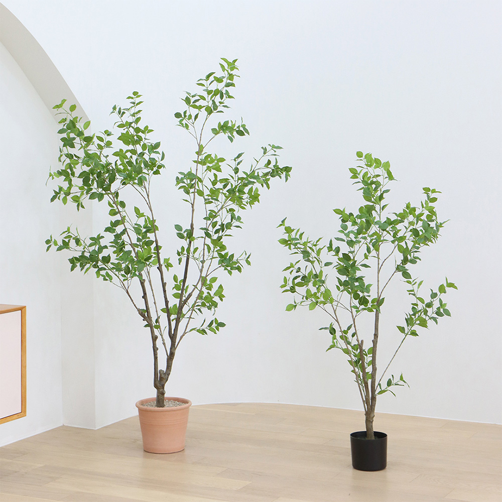 [송트리 MADE] 그린 러스커스잎 조화나무 200cm 인조나무 개업식물 감성카페 : 송트리 SONG TREE
