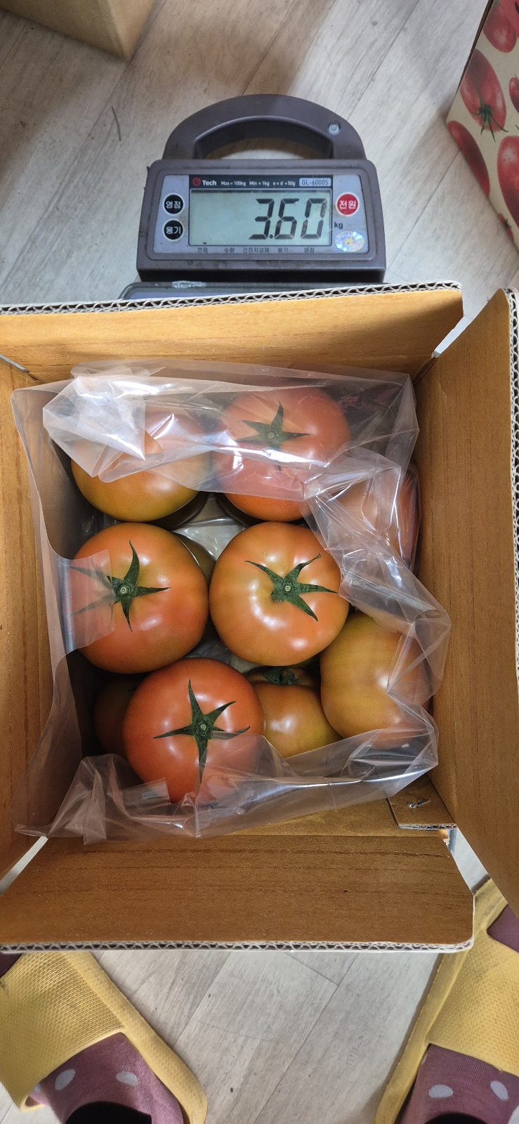 3kg [더생생] 산지직송 직접키운 완숙토마토 김제스마트팜 : 더생생
