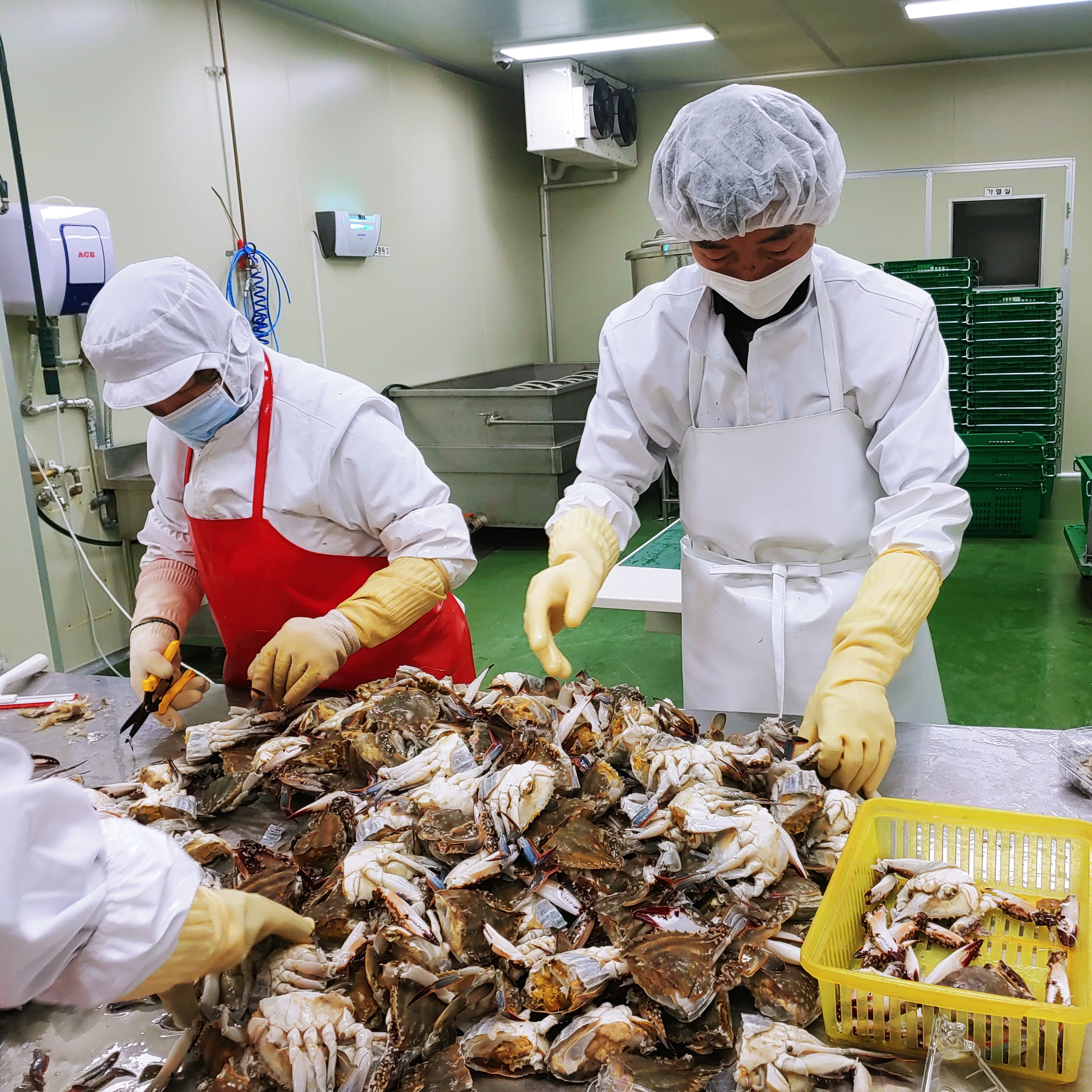 연평도 절단꽃게 급냉 암꽃게 게장용 손질 냉동 꽃게 1kg 2kg 4kg : 팔도양식