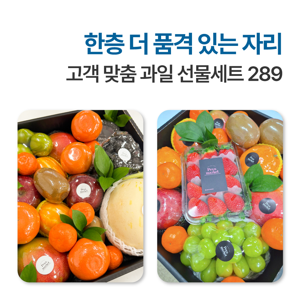 백수네 프리미엄 제철 과일선물세트 혼합과일 맞춤구성 기업 출산선물 명절선물 : 백수네상회