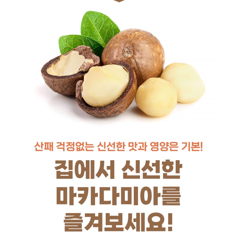 베트남식품 농산물 견과류 통 마카다미아 200g, 5개 : 진솔식품