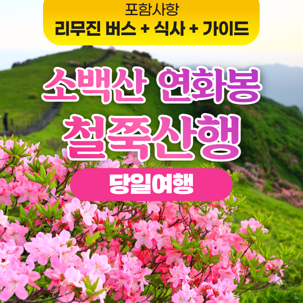 소백산 연화봉 철쭉 트레킹 죽령 희방사 코스 당일치기 리무진 버스 여행 서울 출발 : 승우여행사