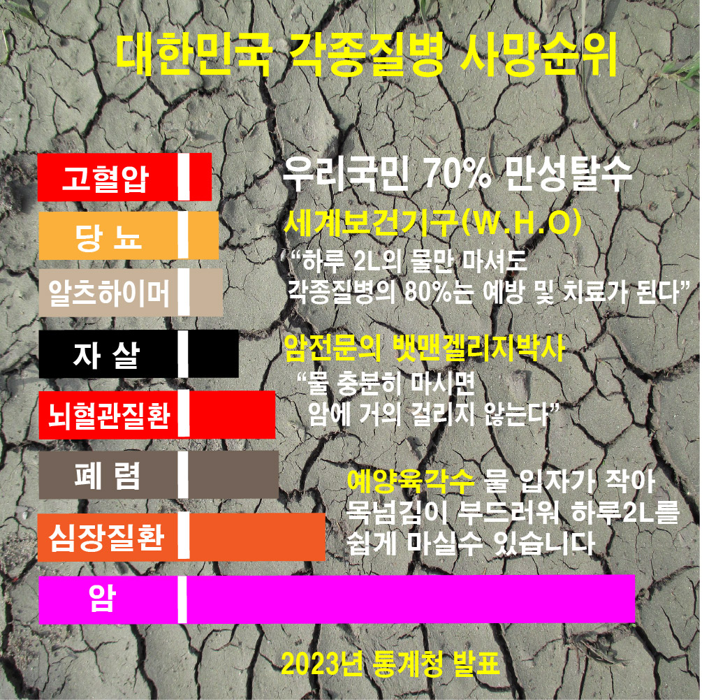 모든고민 끝 세계유일 진품육각수 평생 단 한번설치  FDA 육각수기 특허 정수기 필터 10년에 한번 교체  계량기설치다목적용 : 예양육각수총판