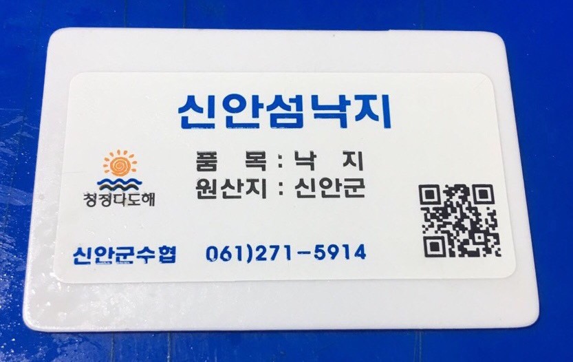 목포 뻘낙지 무안 세발낙지 신안 산낙지 국산 활낙지 탕탕이 : 어르미유통