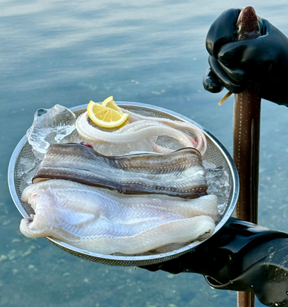 산지직송 통영 자연산 바다장어 1kg 손질 소스제공 세척 국내산 아나고 붕장어 : 바다왕수산