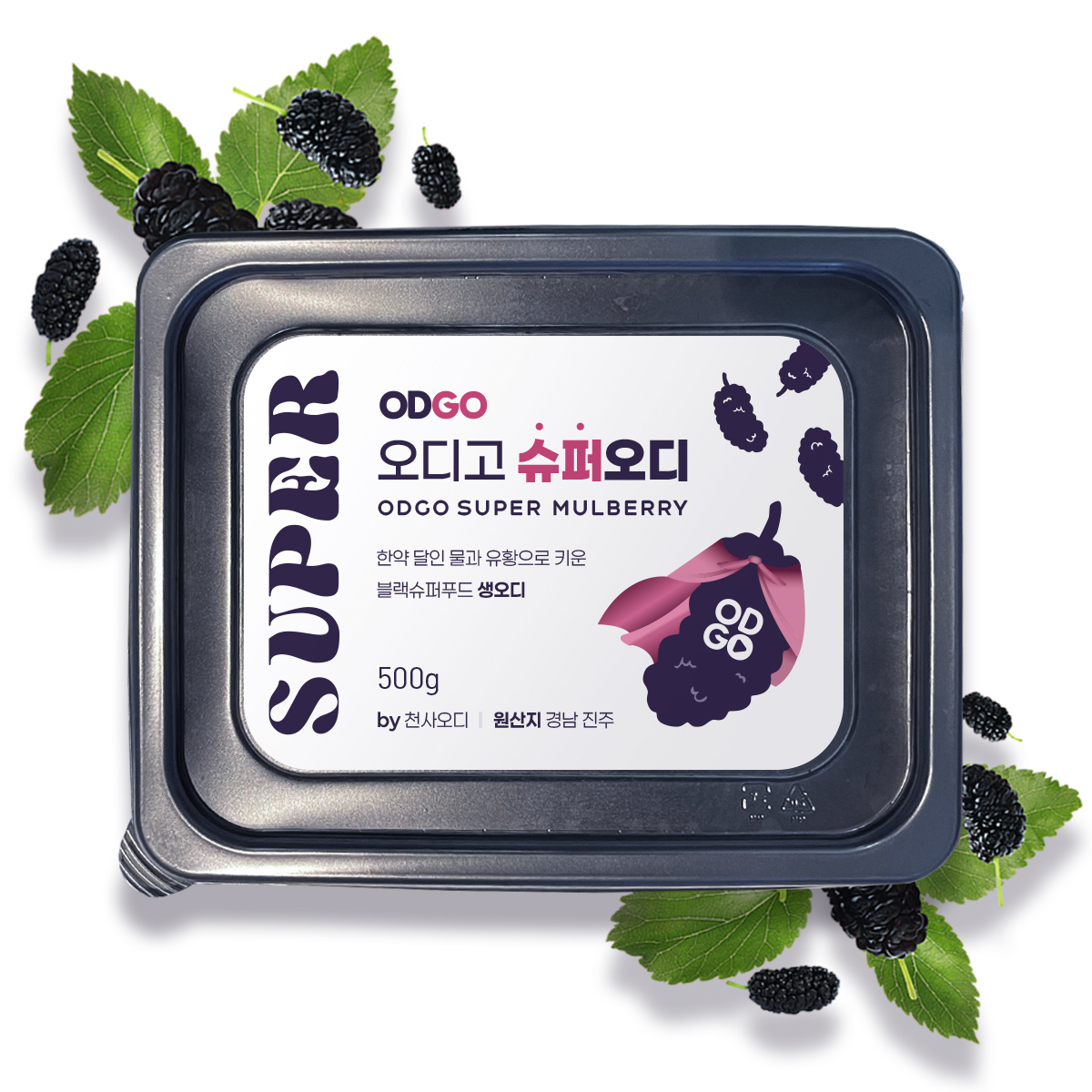 2025년 햇오디 진주천사오디 슈퍼오디 ODGO 오디고 : ODGO
