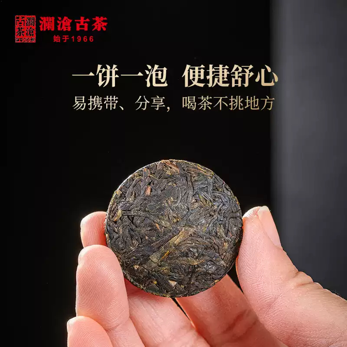 [7-3193] 2013년 란창고차 자룡옥병 자아고수보이차 미니생병세트 약500g : 운남상회 티다차이