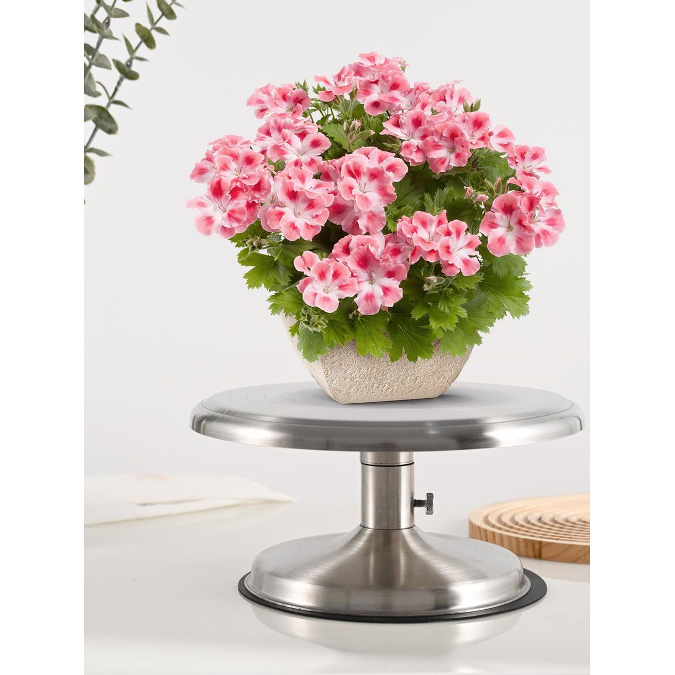 원형 케이크 플레이트 29x8 5cm 세라믹 원형플레이트 통굽 양식 쥰토이 웨딩 28cm : 위시바이1