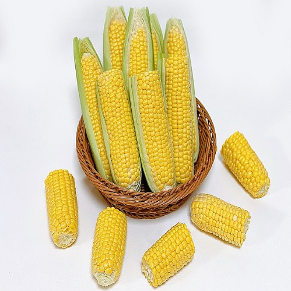 제주 초당옥수수 햇찰옥수수 국산 고당도 생초당 흑찰 찐옥수수 제철 알찬 잘익은 노랑생 : 엠-프레쉬