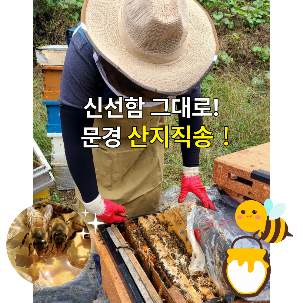벌꿀 , 선물하기 좋은 곰돌이가 훔쳐먹다 들킨꿀,문경벌꿀 380g, 2개 : 알라딘 지니유통