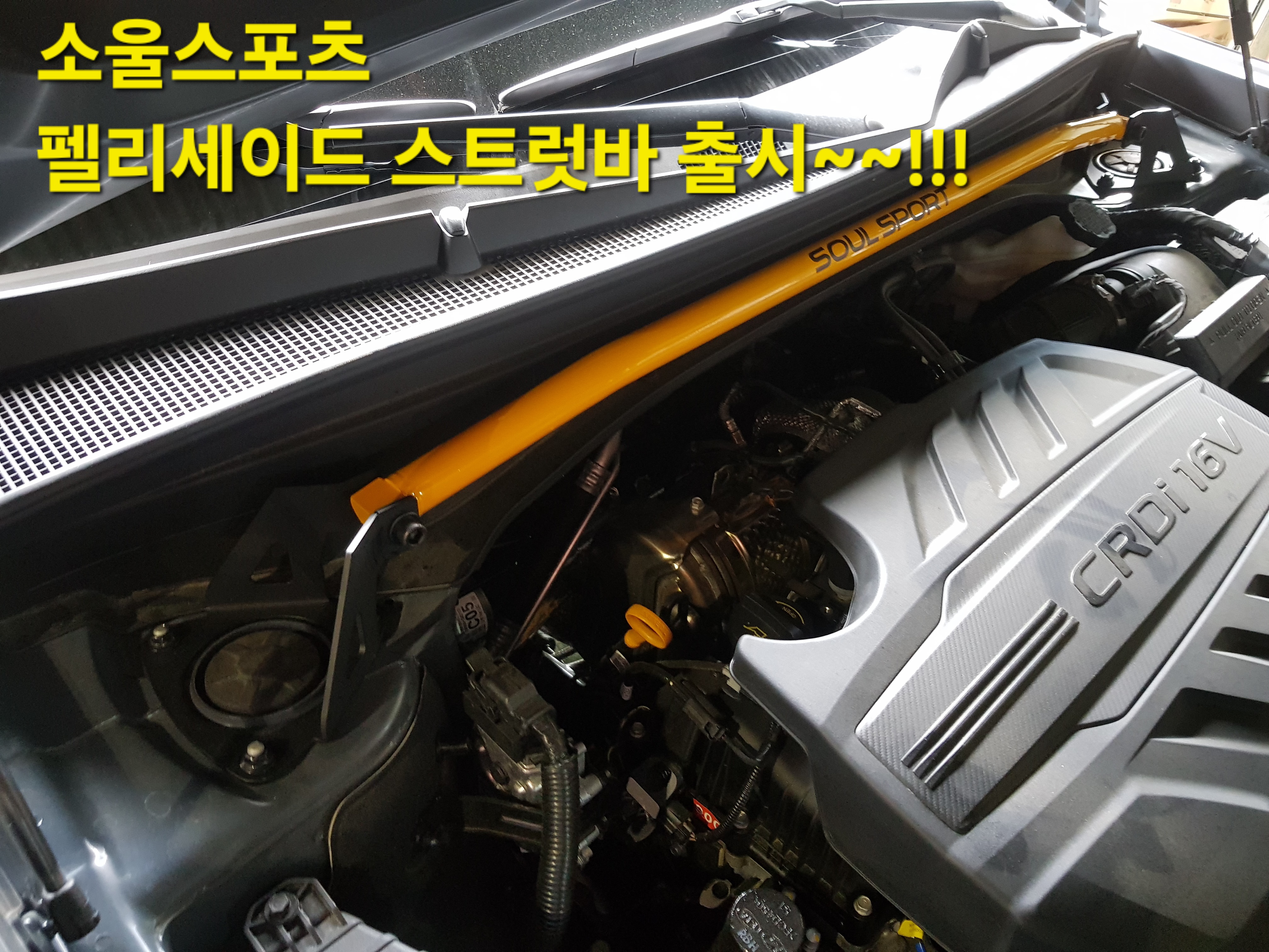 펠리세이드 스트럿바 : 쏘올스포츠SOULSPORT