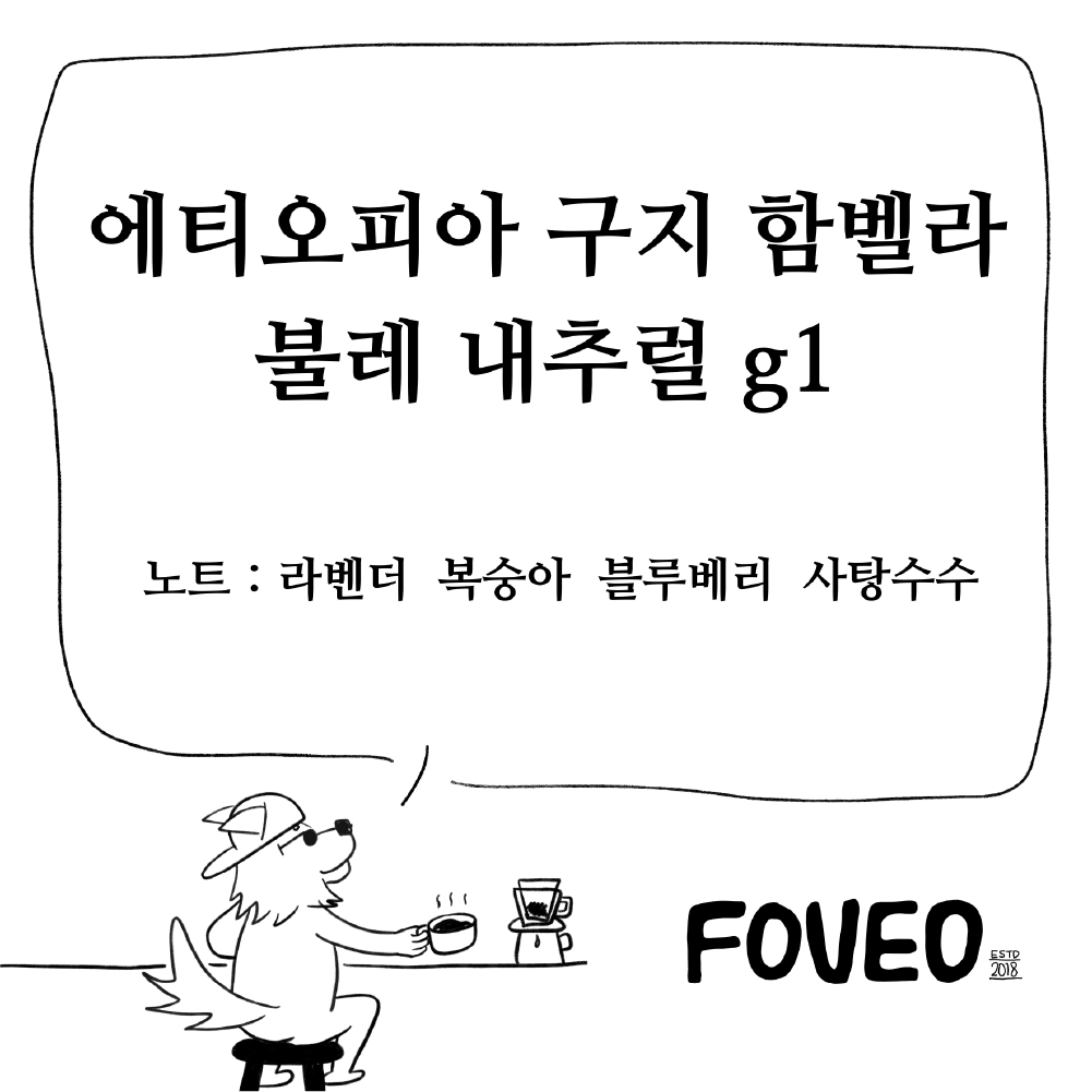 테스트 에티오피아 구지 함벨라 불레 내추럴 g1 : 옴니아 투아 포베오