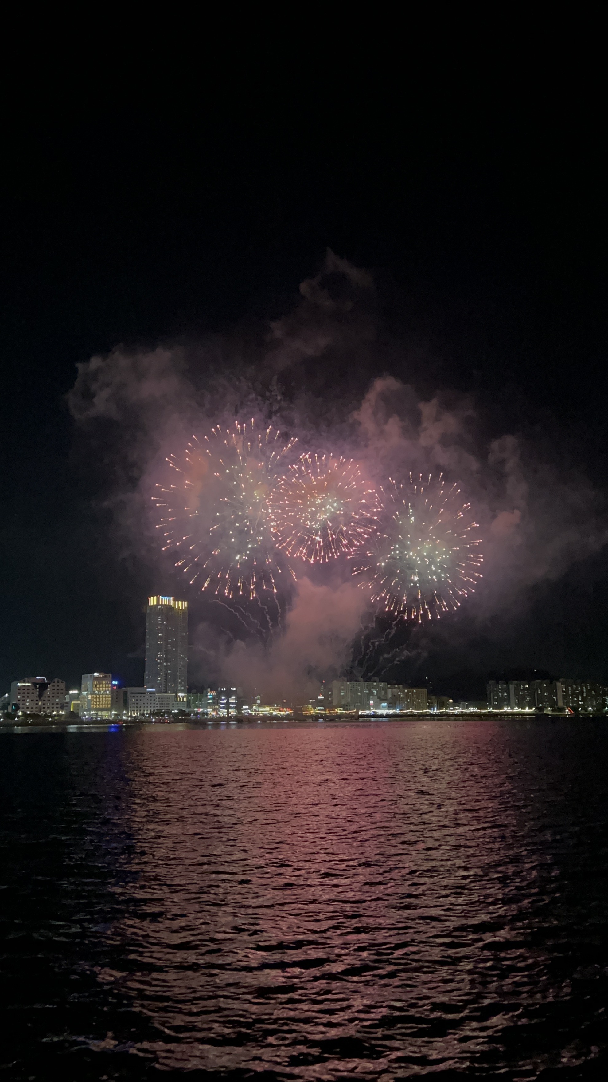 [목포요트] 목포해상W쇼 불꽃축제 요트투어 요트 타볼레옹 : 요트 타볼레옹