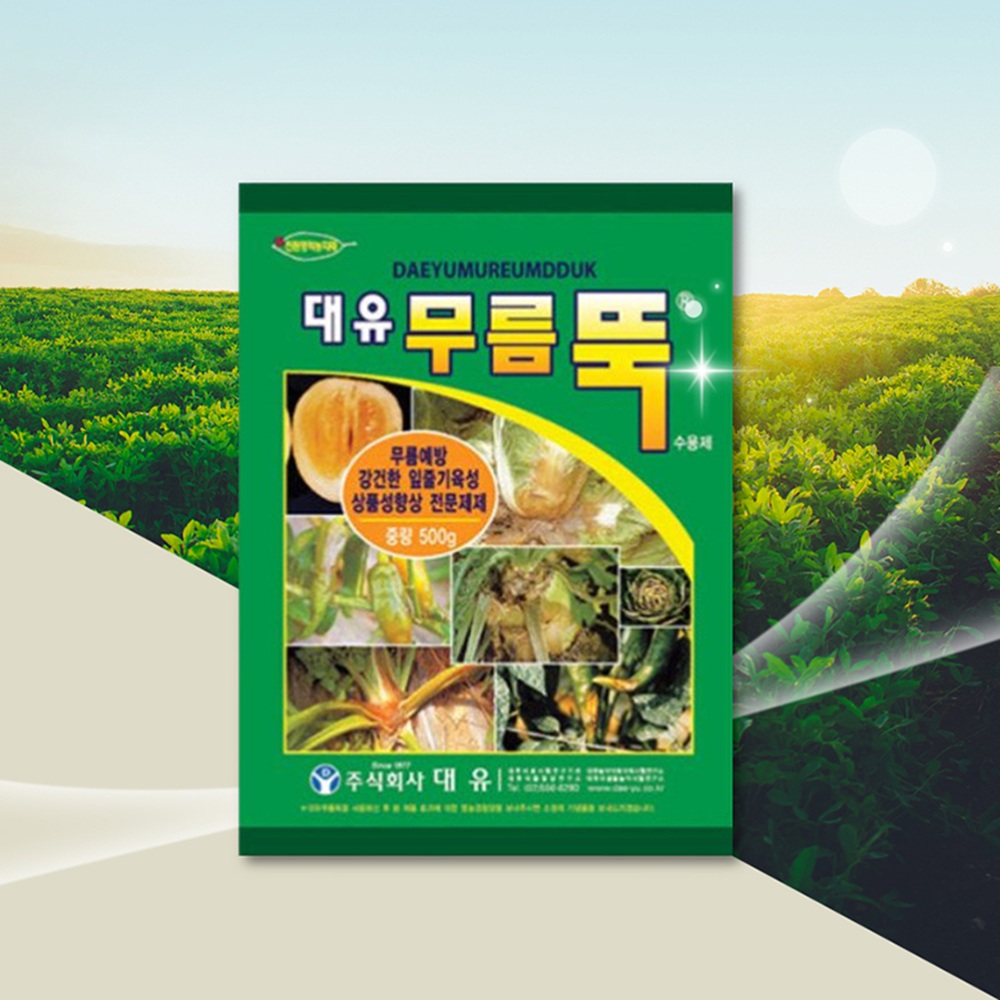 무름뚝500g : THE 풍년