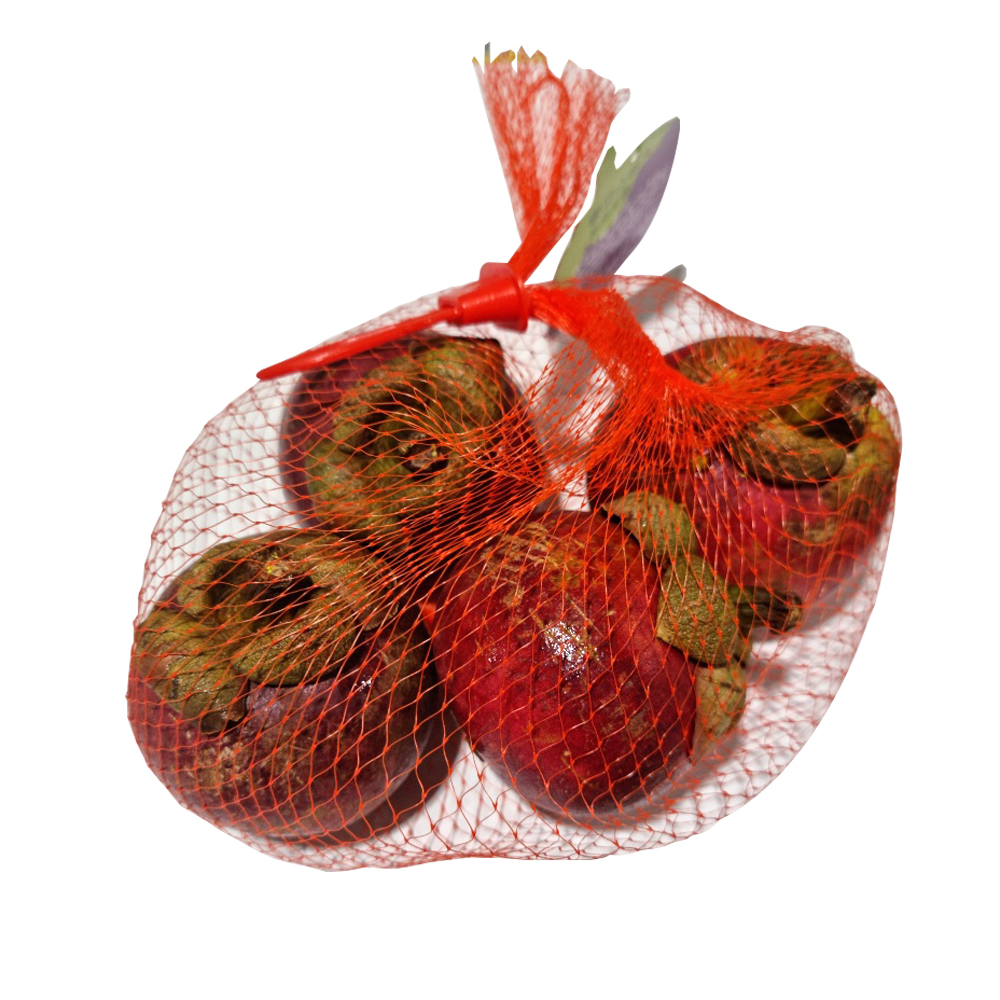 항공 직수입 태국 생 망고스틴 1kg : 담담:담고담다