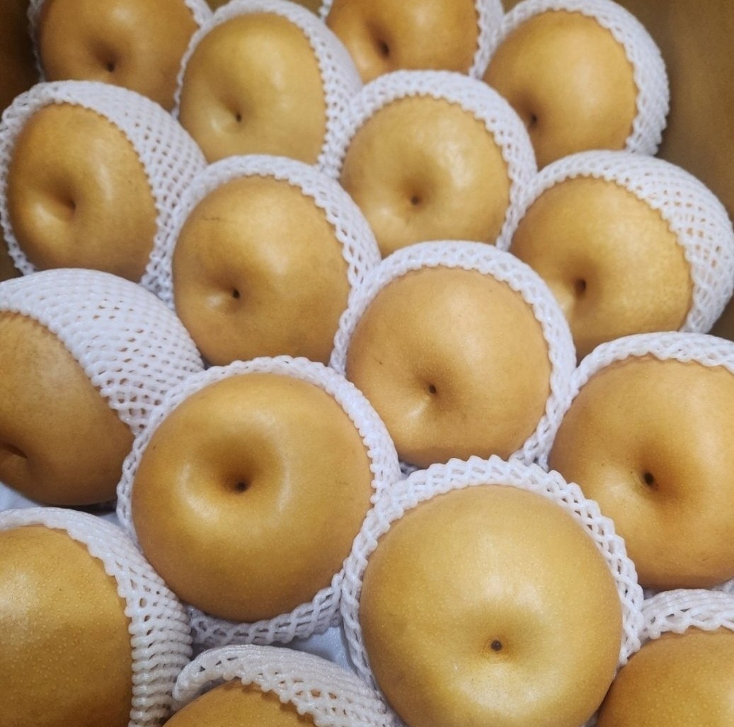 나주신고배 중과 2kg 내외 : 과일소담촌하남점