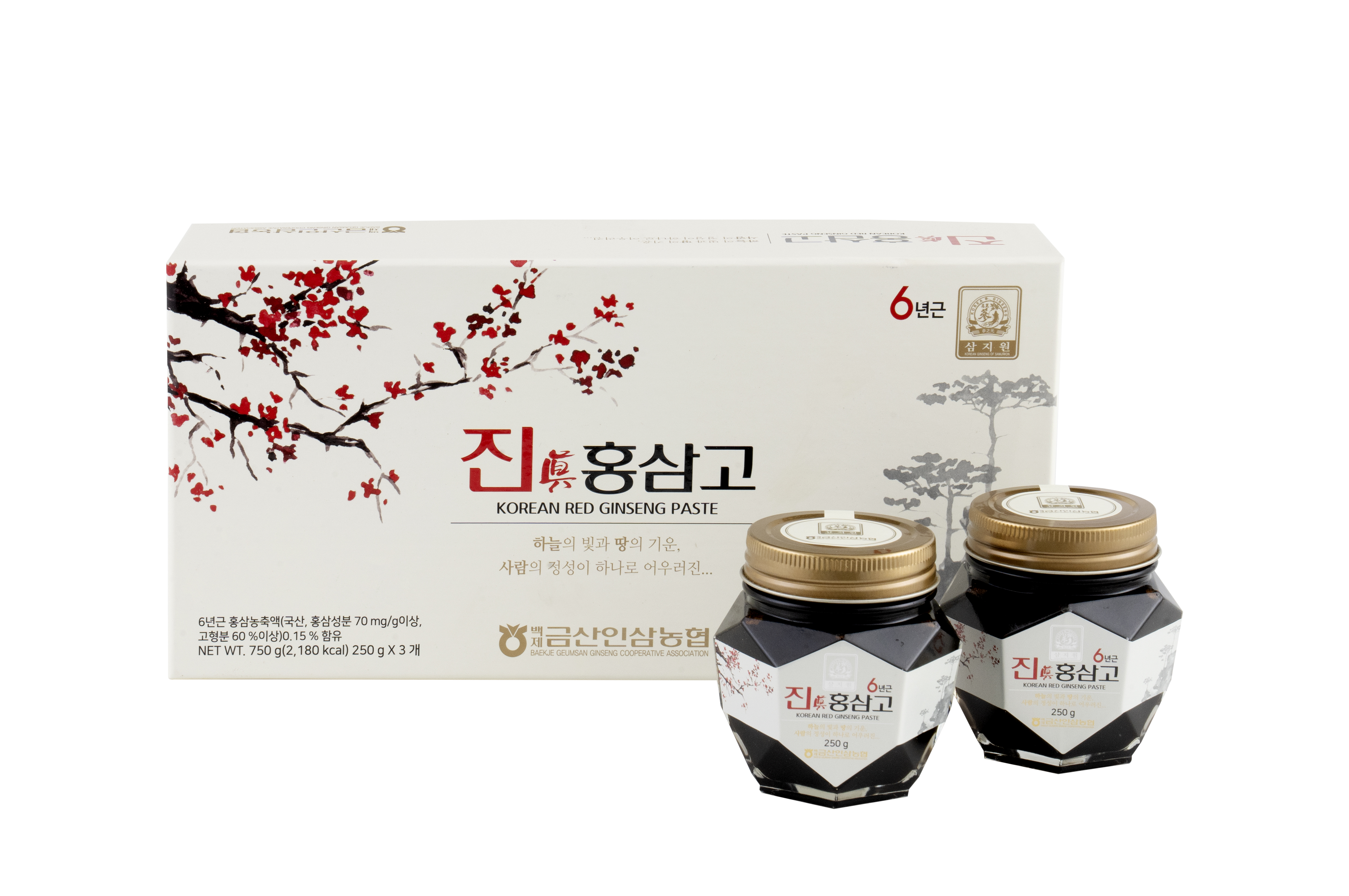 [금산인삼농협] 진홍삼고(250g x 3)병 : 금산인삼농협 금산상회