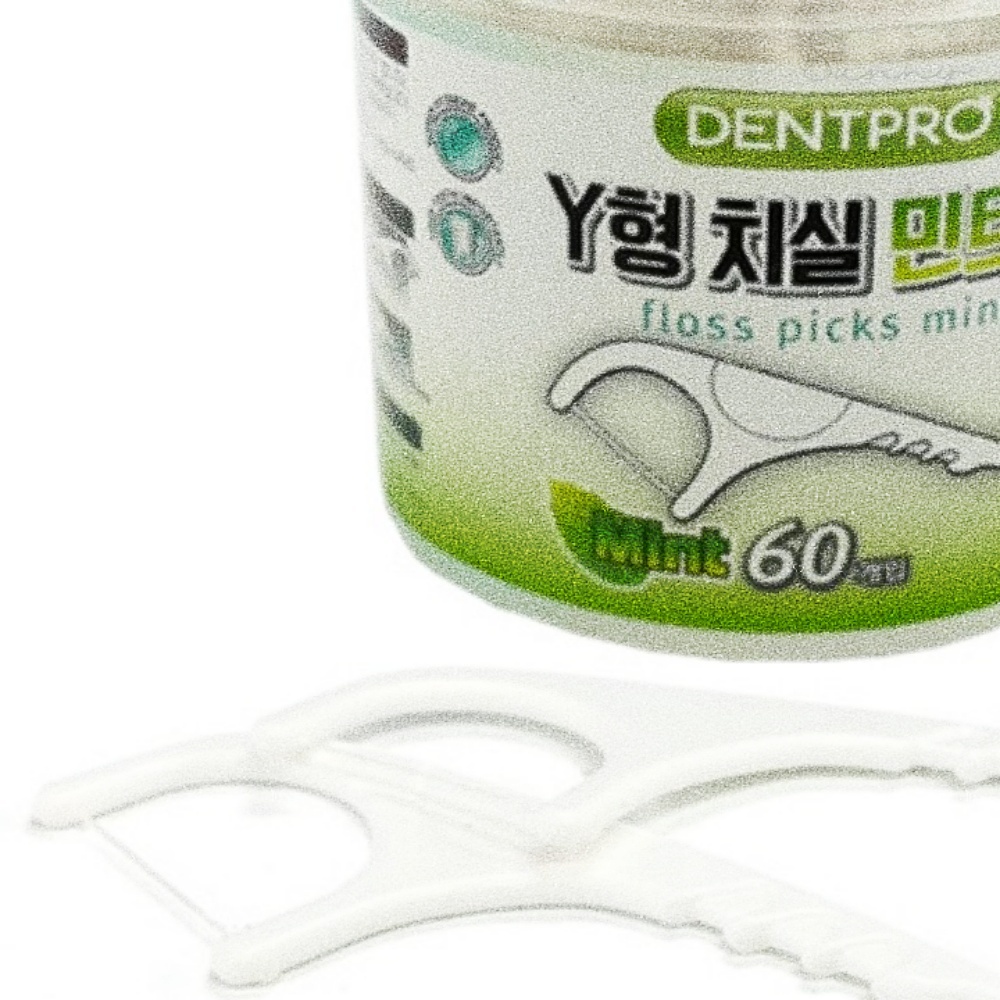 리치썬샵 덴트프로Y형치실 민트60P CASE 구강용품 치간치실 치실판촉물 : 리치썬추천샵