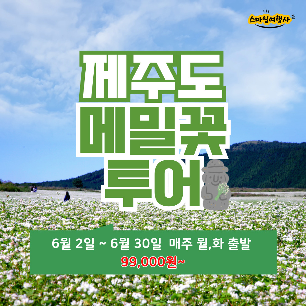 [부산출발] 제주도 석조패턴 메밀꽃투어 3박4일 패키지여행 스마일여행사 : 스마일여행사