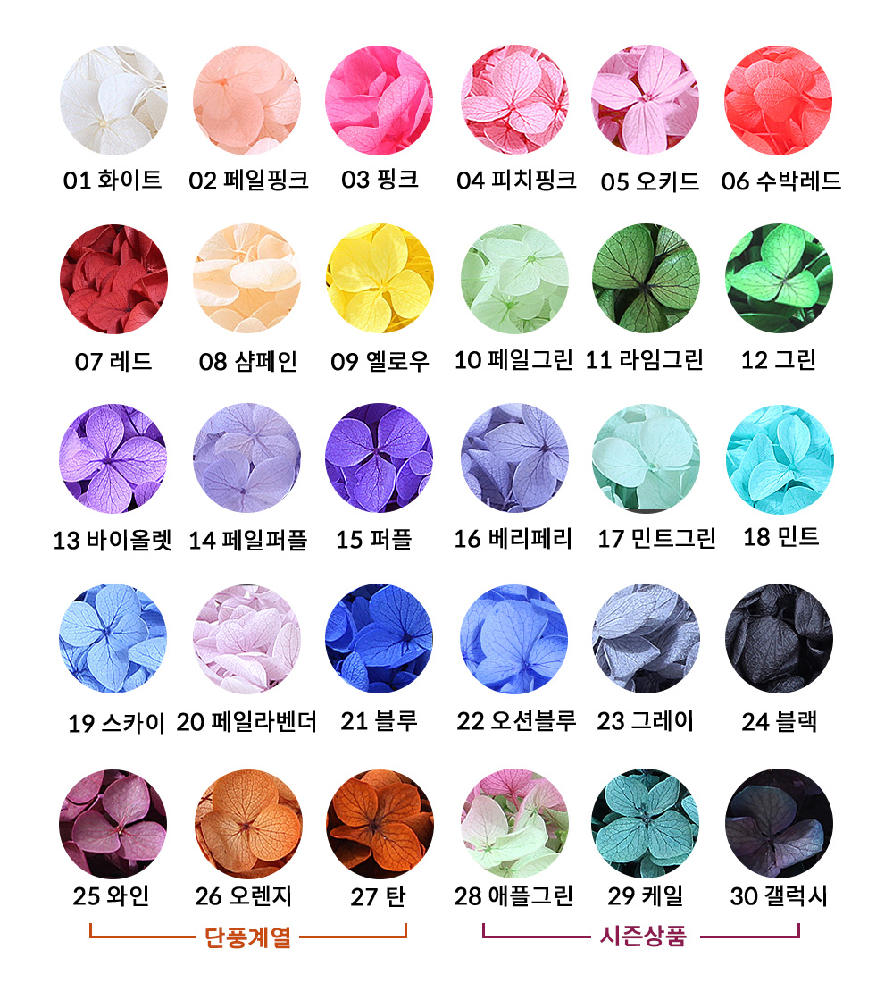 프리저브드플라워 화연양화 블루밍 케이스 수국 30색 : 화연양화