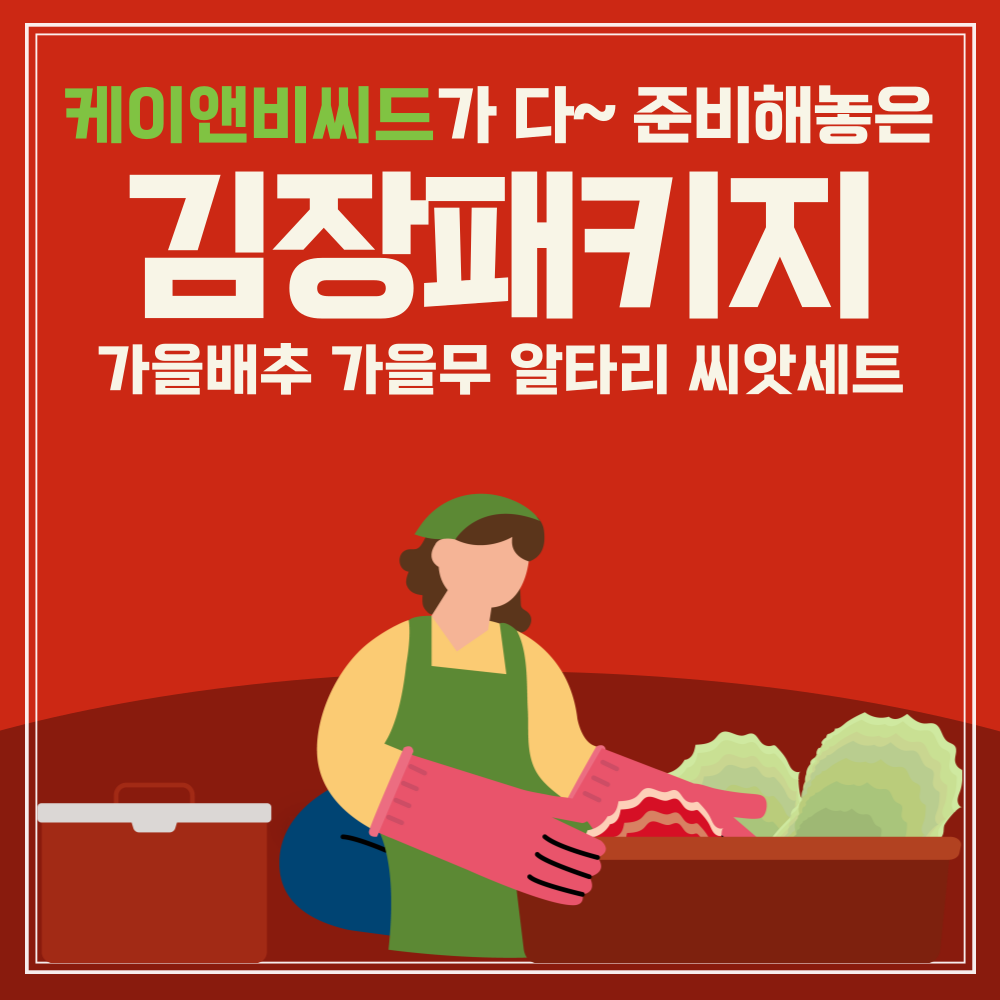 김장채소3종세트(김장배추 무 알타리) 14시 이전 주문 당일배송 : 케이앤비씨드