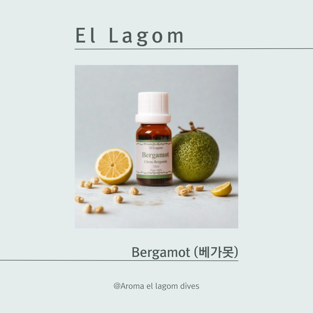 [엘 라곰]향기 테라피/베르가못에센셜오일10ml/퓨어100% : 아로마엘라곰디베스