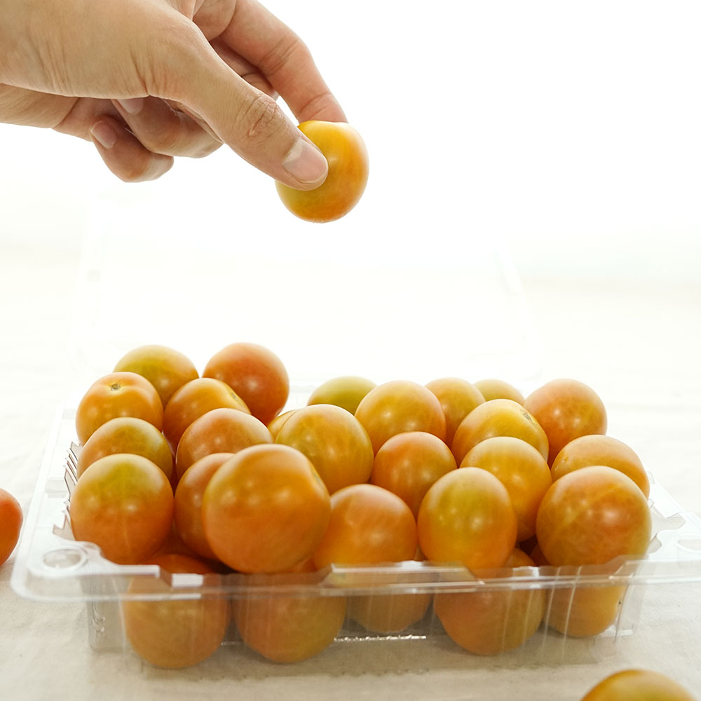 스낵처럼 즐기는 애플 토마토 2kg : 스윗볼영농조합법인