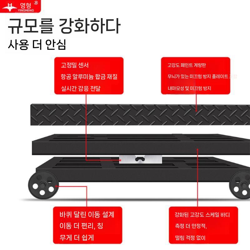 중량선별기 저울 전자 무게 업소용 갈고리 용수철 크레인 택배 컨베이어 공장 계근대 측정기 200kg : 럭셔리디바