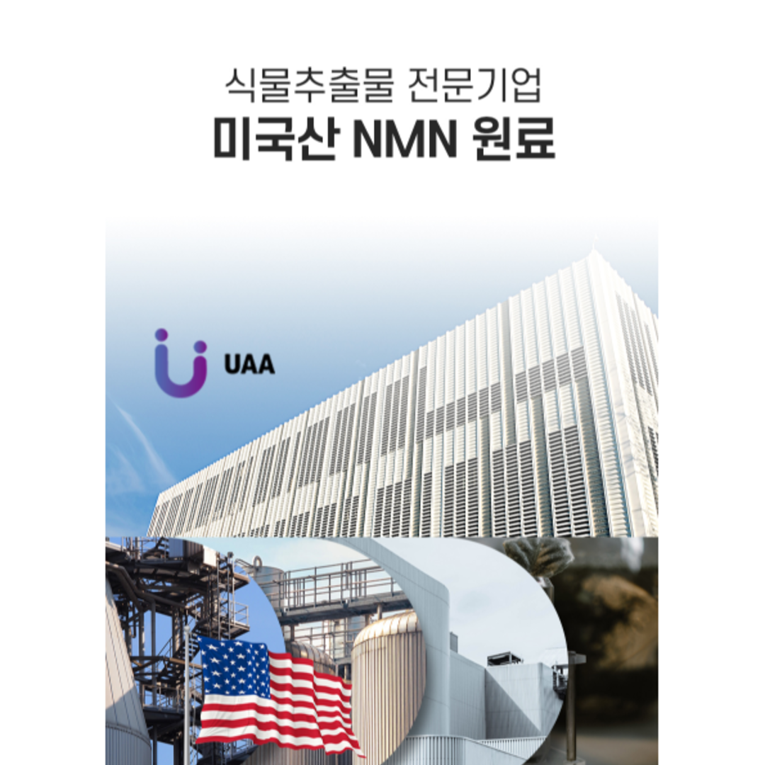 앤엠앤 엠엔엔 브로콜리추출물 베타인 베타민 식물성 NMN 롱라스팅 파이토케미컬 : 메디라움코리아