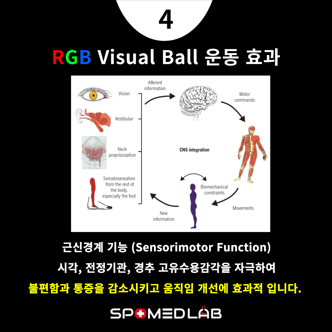 RGB Visual Ball 뉴로 트레이닝 소도구 : 주식회사 스포메드랩