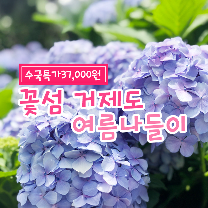 [부산 김해 마산출발] 거제수국/지세포진성 꽃동산/매미성 당일여행 : 부산테마여행사