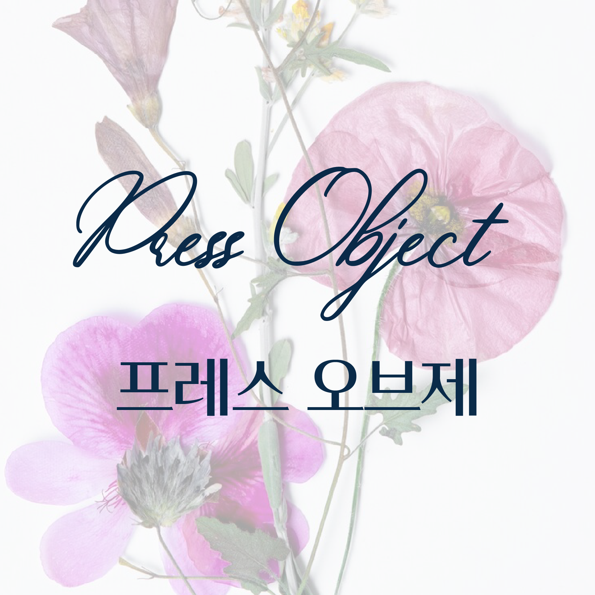 더블랑문 프레스 오브제 부케 압화 액자 : The Blanc Moon