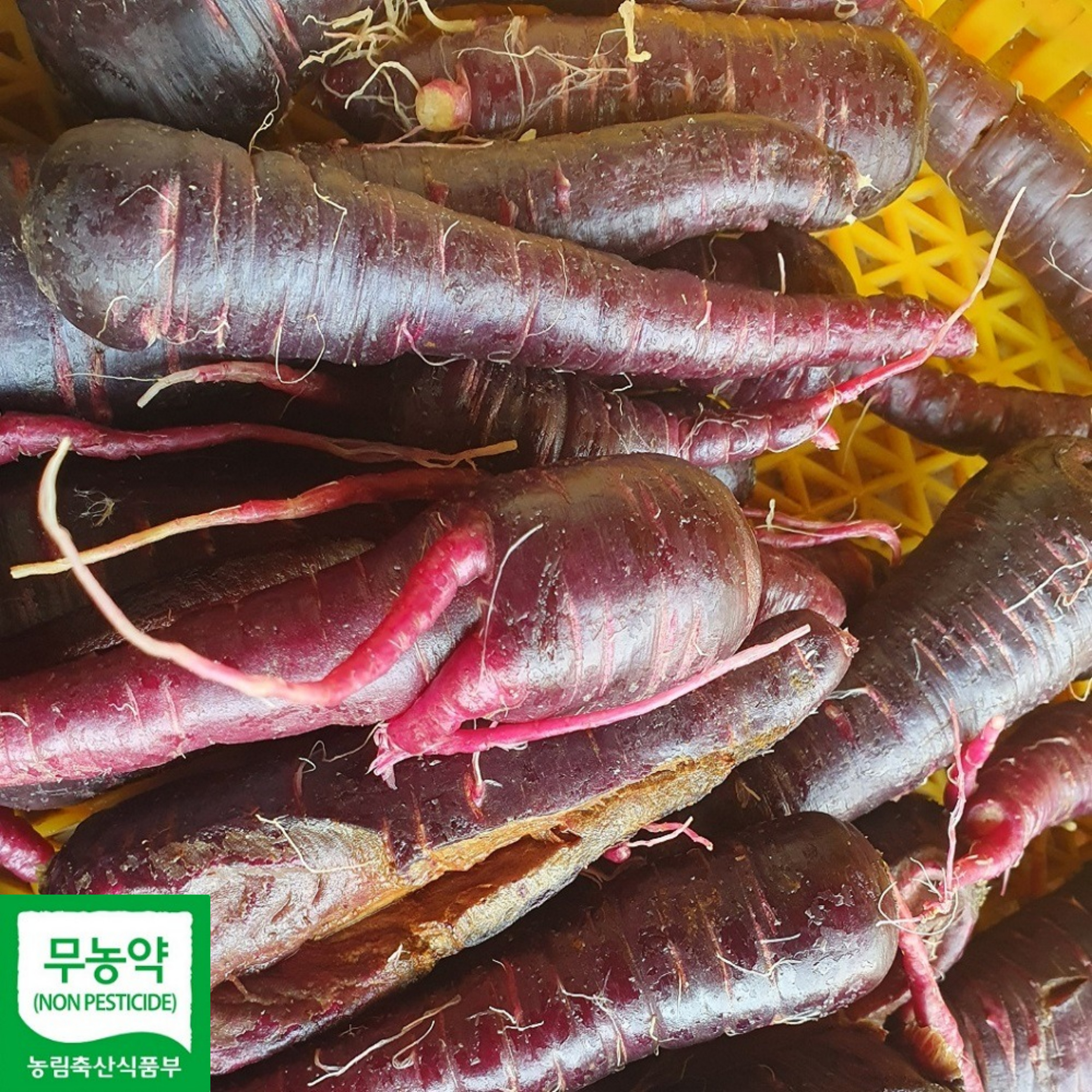 단짝상회 자색당근 해남 친환경당근 세척 해풍 1kg 2kg : 단짝 상회