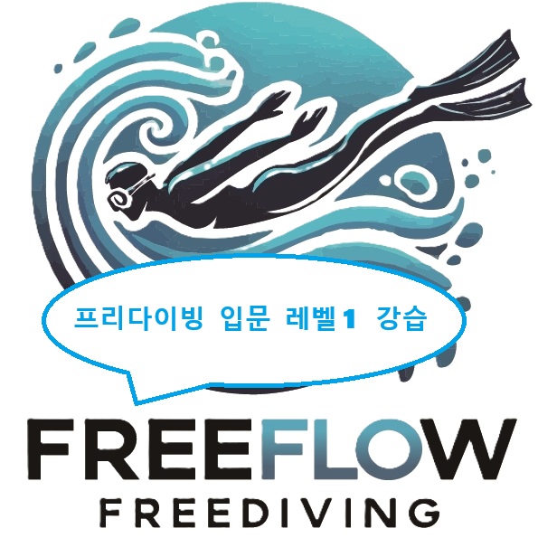 프리다이빙 입문 레벨1 : 프리플로우 프리다이빙