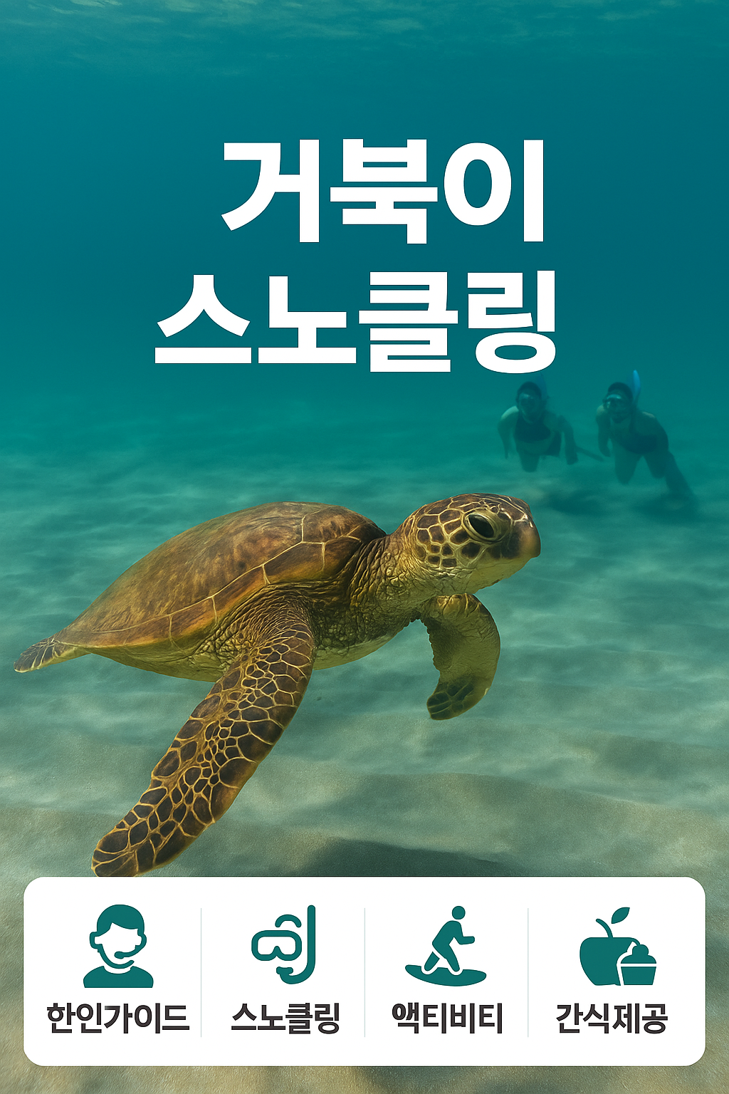 [하와이 거북이 스노클링] 한인가이드 포함｜픽업+장비+간식 올인클루시브 투어 : 글로벌 원투어
