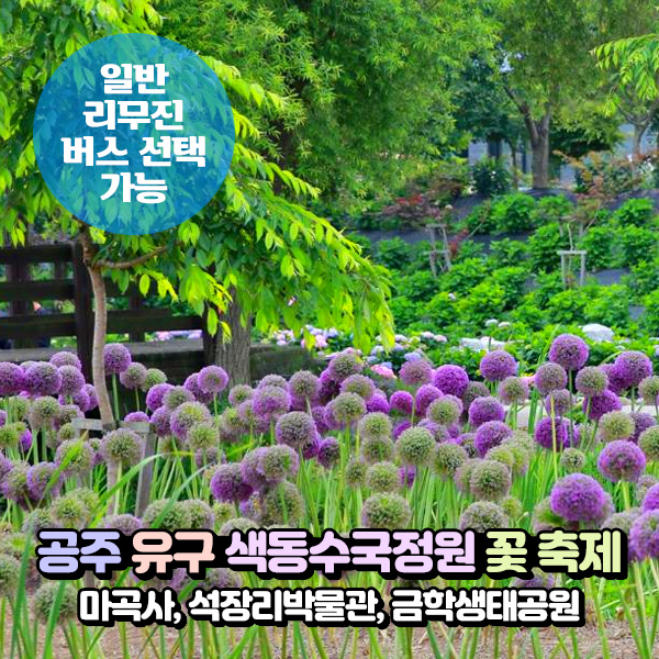 [충남] 공주 유구 색동수국정원 꽃축제+마곡사+석장리+금학생태공원 당일여행 (일반/리무진) / 서울경기출발 : 파랑새투어
