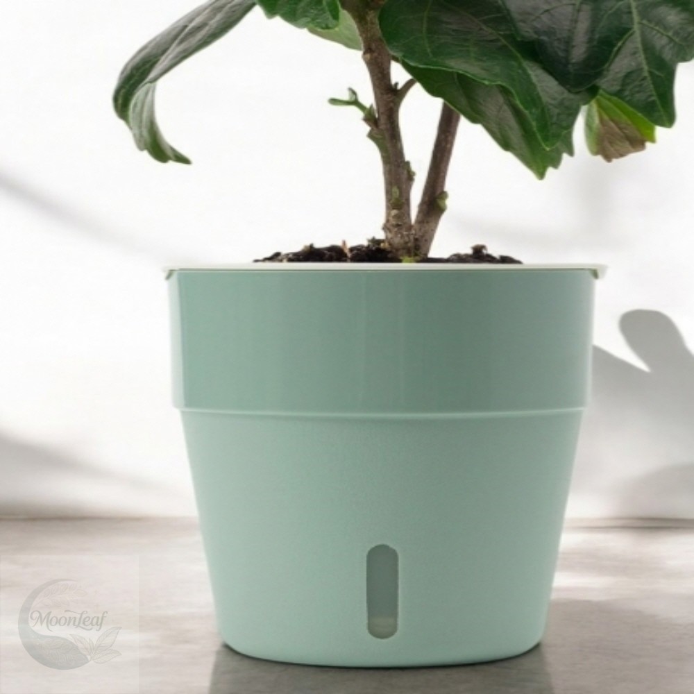 MLStore 자동급수 화분 5개 세트 13x14cm 그린 가정용식물재배기 화분급수기 : MoonLeaf