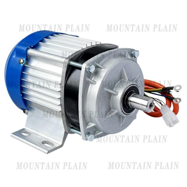 전기 세발자전거 모터 DC 브러시리스 잔디 깍는 기계 중앙 범용 48v60v550w800w1000w : DRA상사