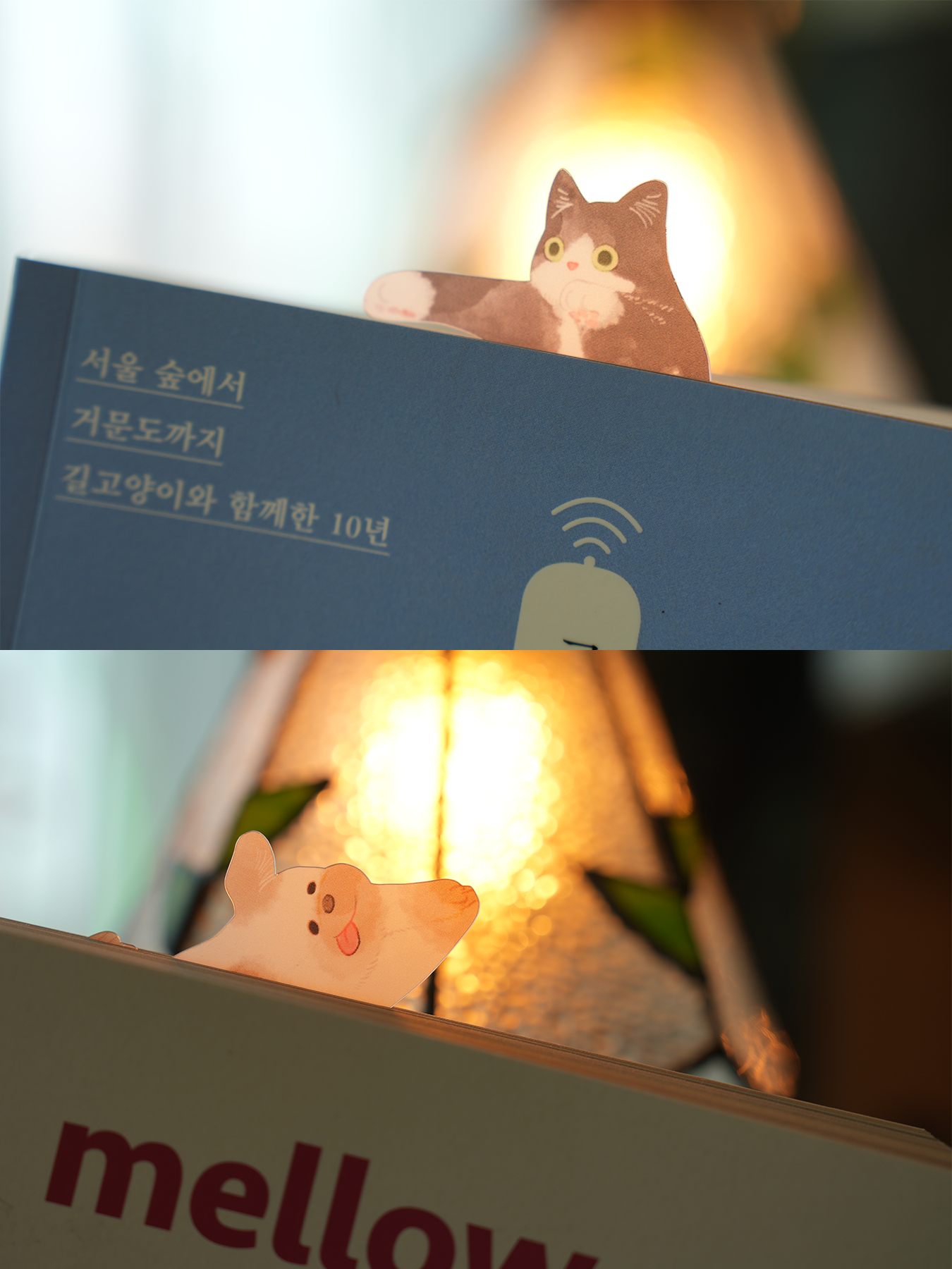 핌피 반투명 책갈피 네오+버디 2종 세트 : 동물책방 정글핌피