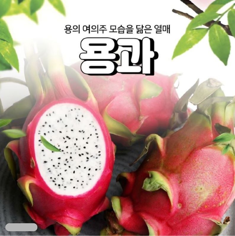 백용과 : 이가네과일야채