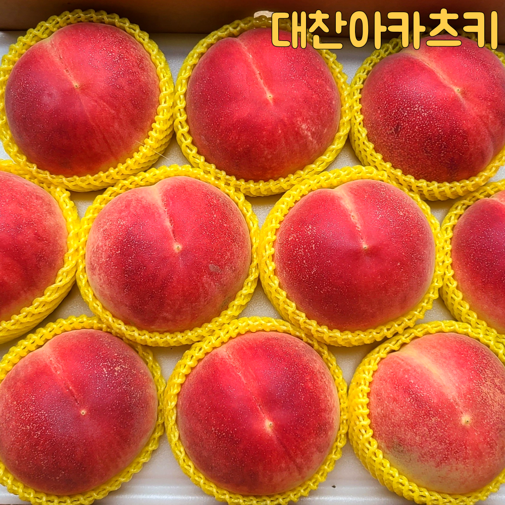 [예약]치악산복숭아 대찬아카츠키 국내산 고당도 제철 백도 딱딱이 말랑이 선물용 산지직송 : 정이가는농원