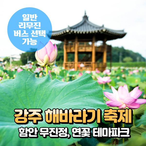 [경남] 함안 강주 해바라기축제+무진정+연꽃테마파크 당일여행 (일반/리무진 선택)/여름축제 / 서울경기出 : 파랑새투어
