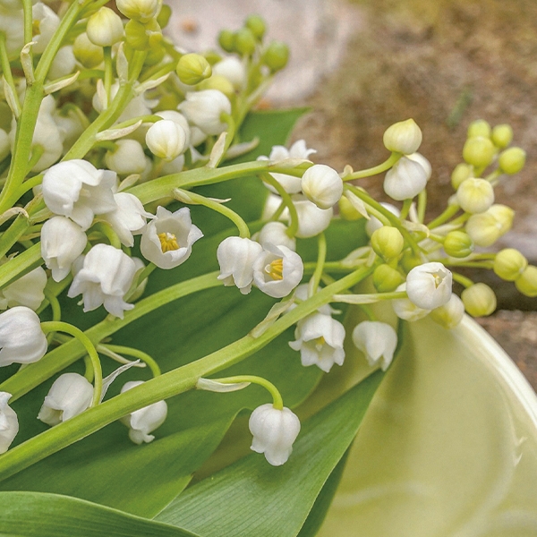 [조향베이스/조향재료] 뮤게 (Muguet) PB37 10ml : 젤캔들샵